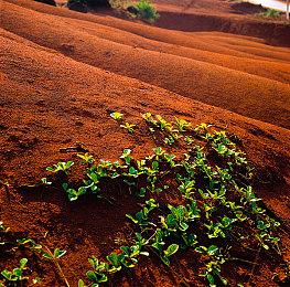 美女主播挑战用跳舞毯玩《战神4》 并Cos奎爷真性感